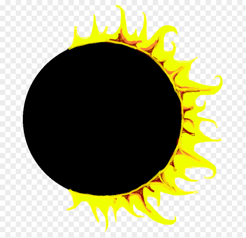 MOON ECLIPSE Solar Eclipse Michiana Eye Center & Facial: Visual Perception Achromatopsia PNG