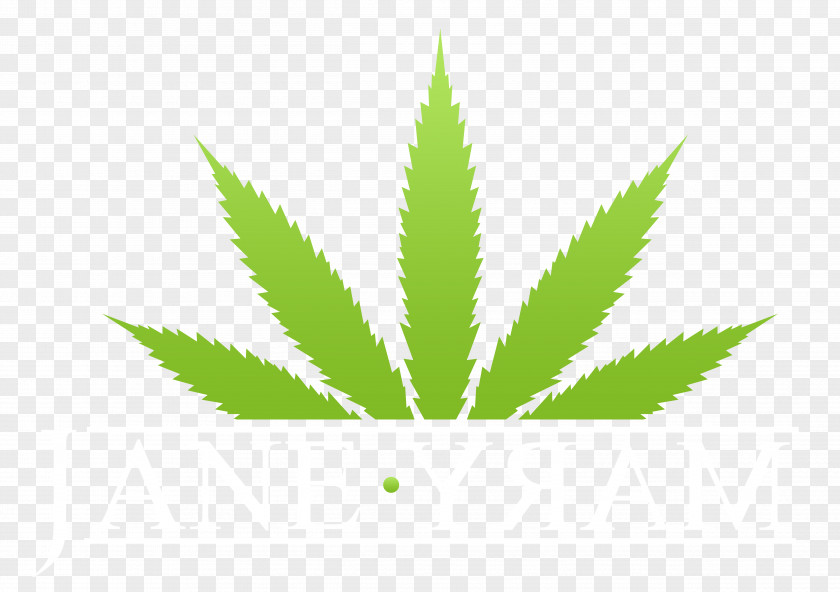 Pot Leaf Marijuana Cannabis Sativa Medical PNG