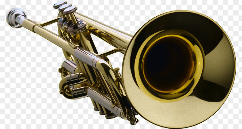 Tuba Musical Instruments Wind Instrument Brass PNG