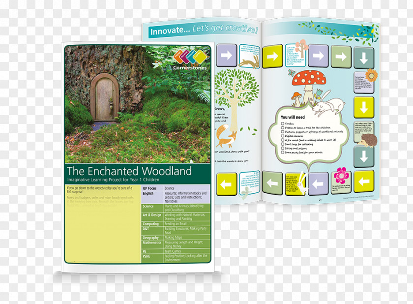 Woodland Nursery Curriculum School Art Design Computing Knowledge PNG