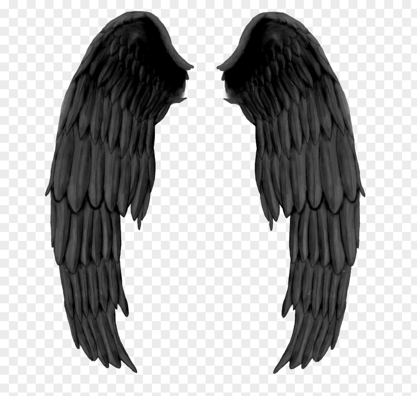 Black Evil Wings Wing Devil And White PNG