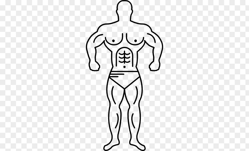 Bodybuilding Electrical Muscle Stimulation Muscular System Hypertrophy Human Body PNG