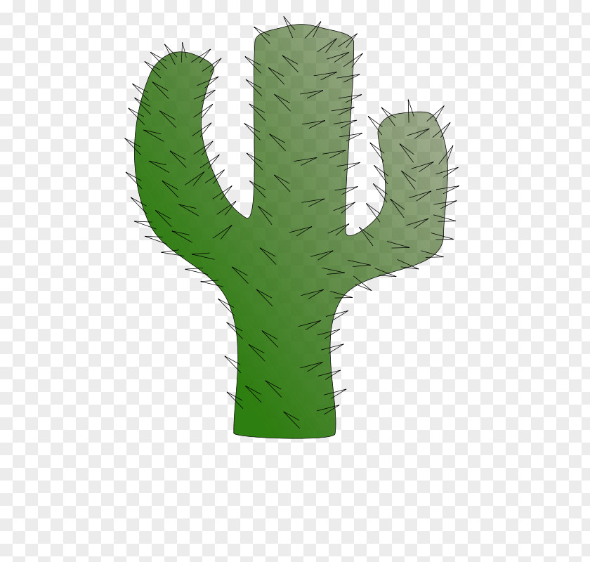Cactus Background Cactaceae Clip Art PNG