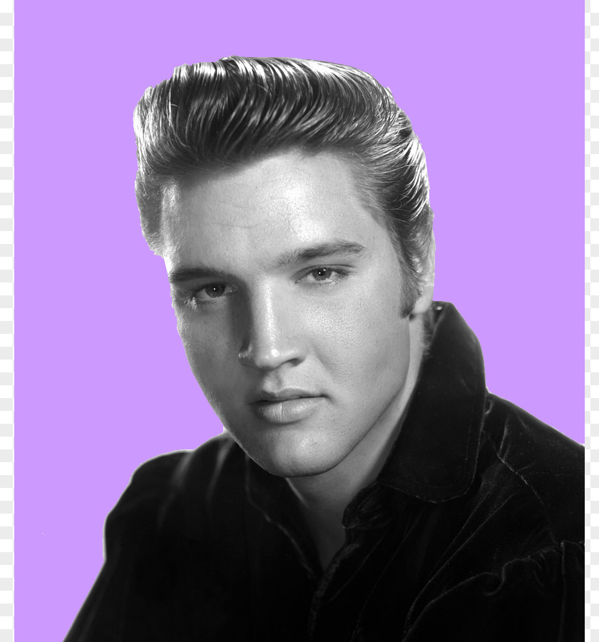 Elvis Presley Cartoon [Tribute To Presley, Pioneer And King] Live A Little, Love Little Graceland Tupelo PNG