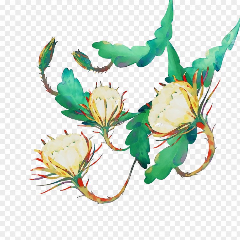 Floral Design PNG