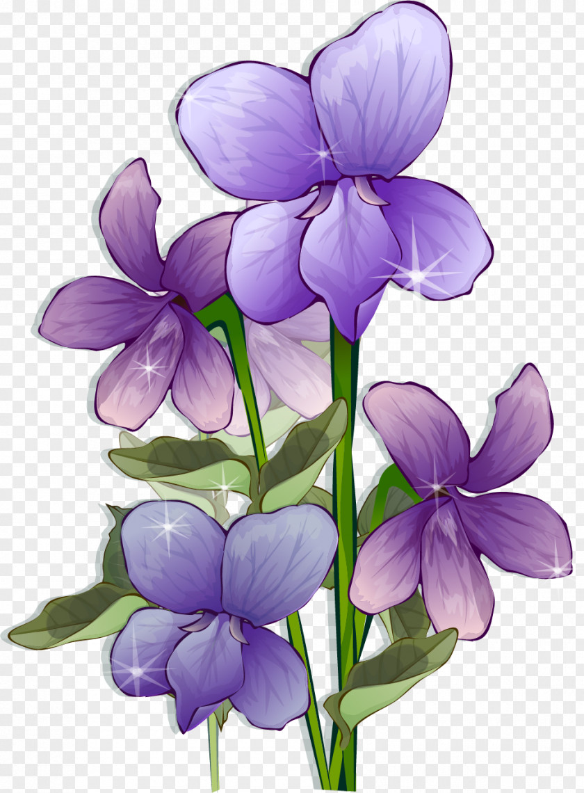 Lavender Flowers Flower Picture Frames PNG