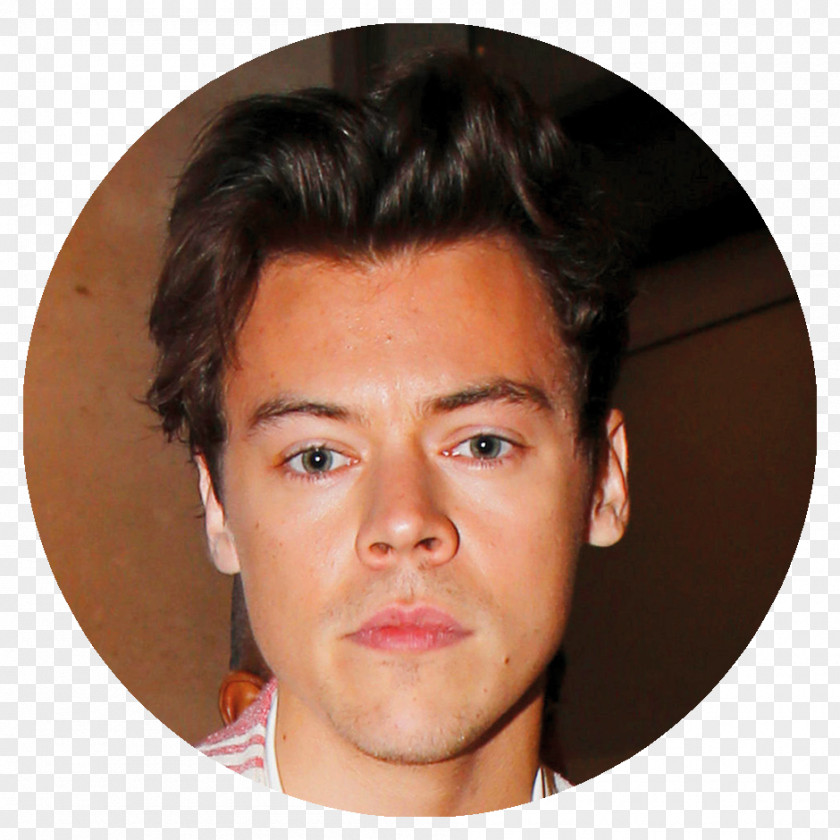 Leonardo Dicaprio Harry Styles The X Factor Singer-songwriter Celebrity PNG