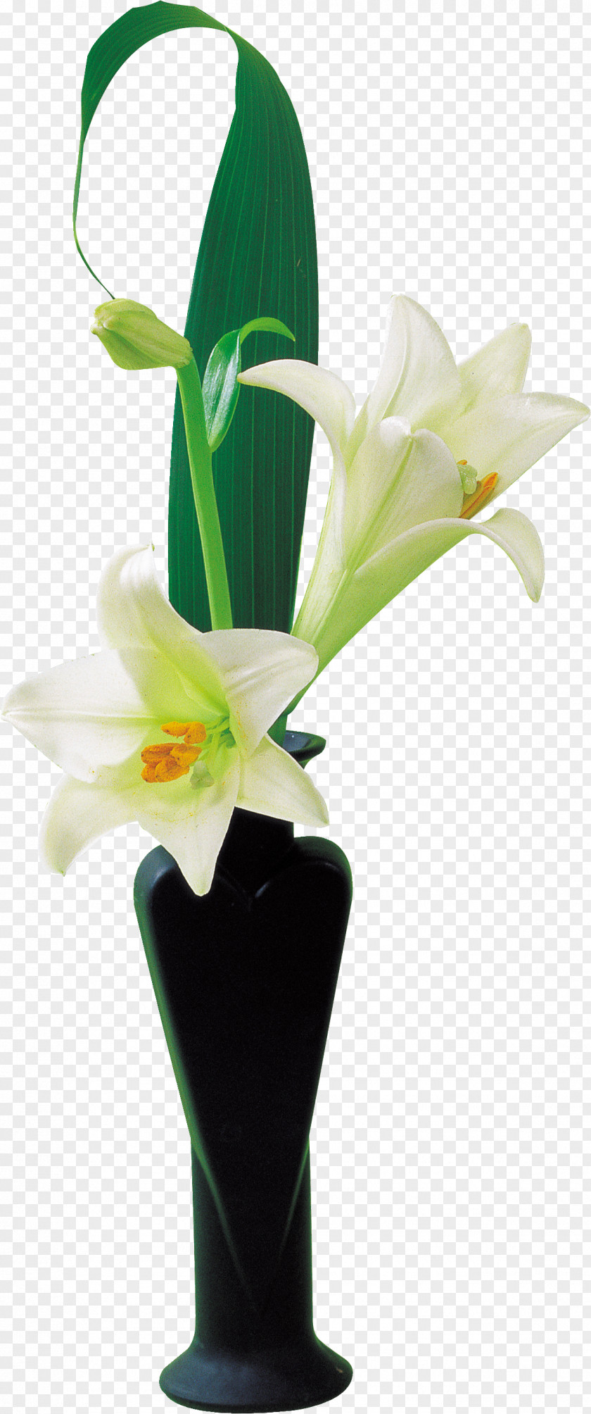Lily Cut Flowers Vase Lilium PNG