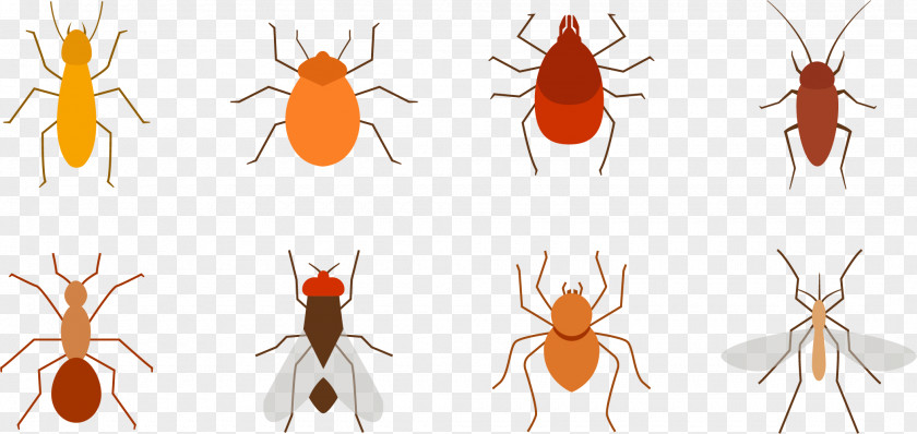 Mosquitoes, Pests, Flies Mosquito Insect Pest PNG