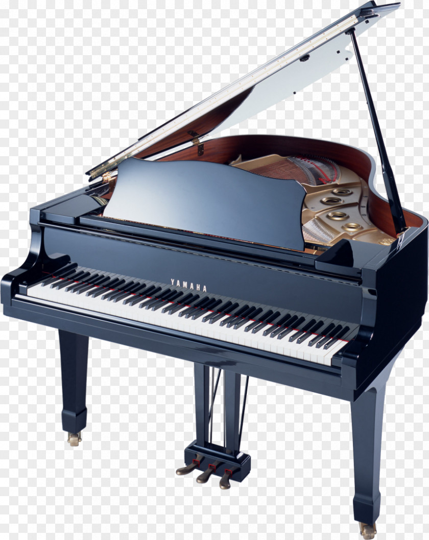 Piano Grand Musical Instruments PNG