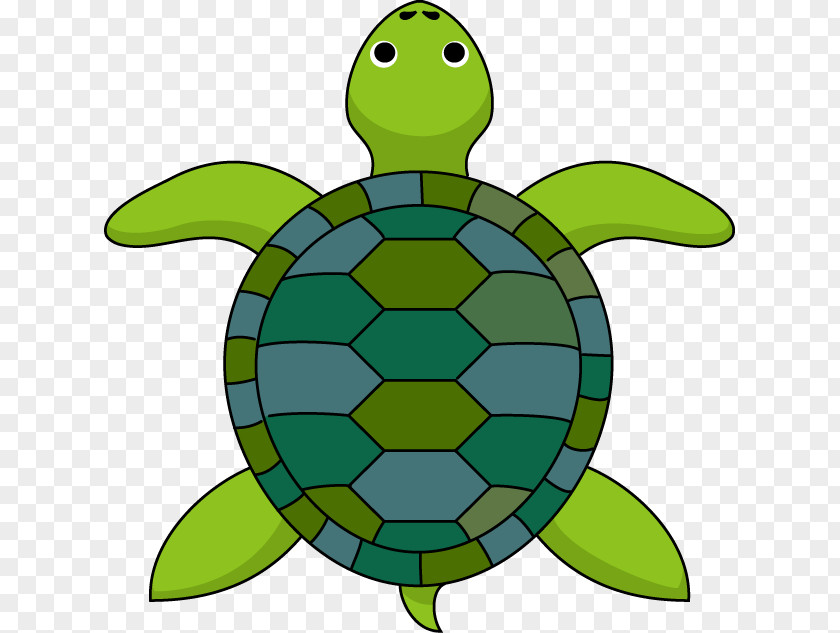 Tortoide Turtle The Tortoise And Hare Clip Art PNG