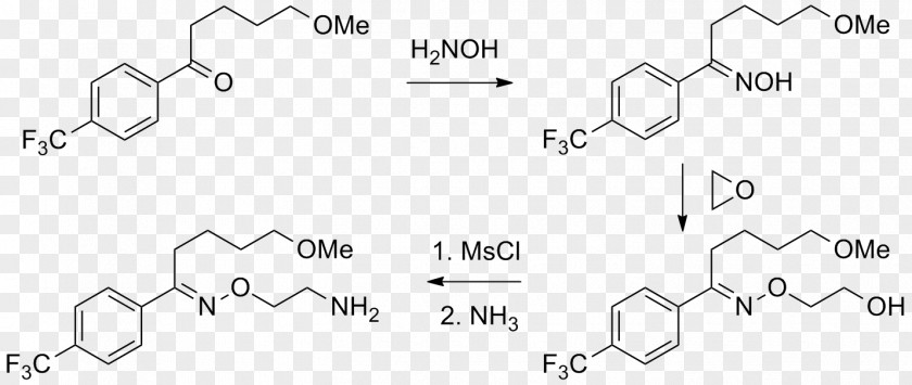 Amine Nanjing University Functional Group Procaine Alcohol PNG