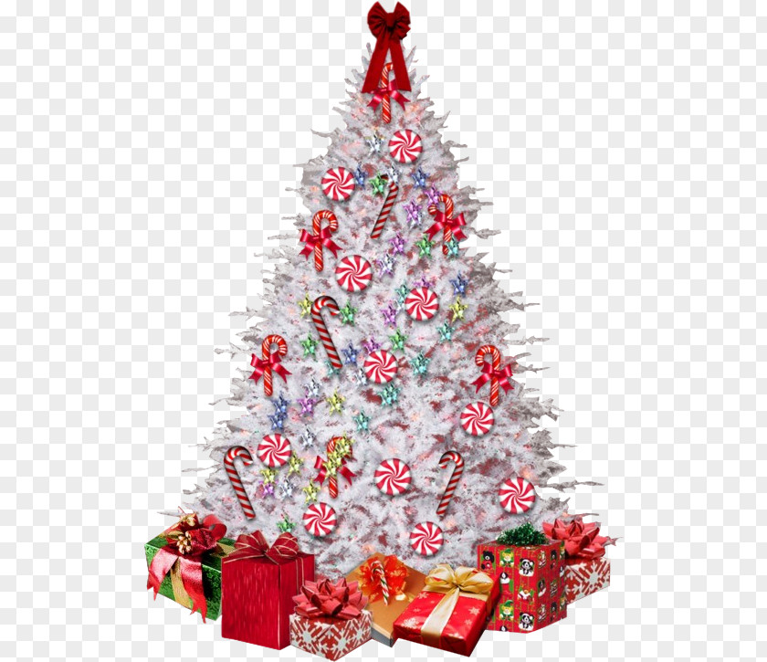 Christmas Tree Day Fir Bombka Decoration PNG