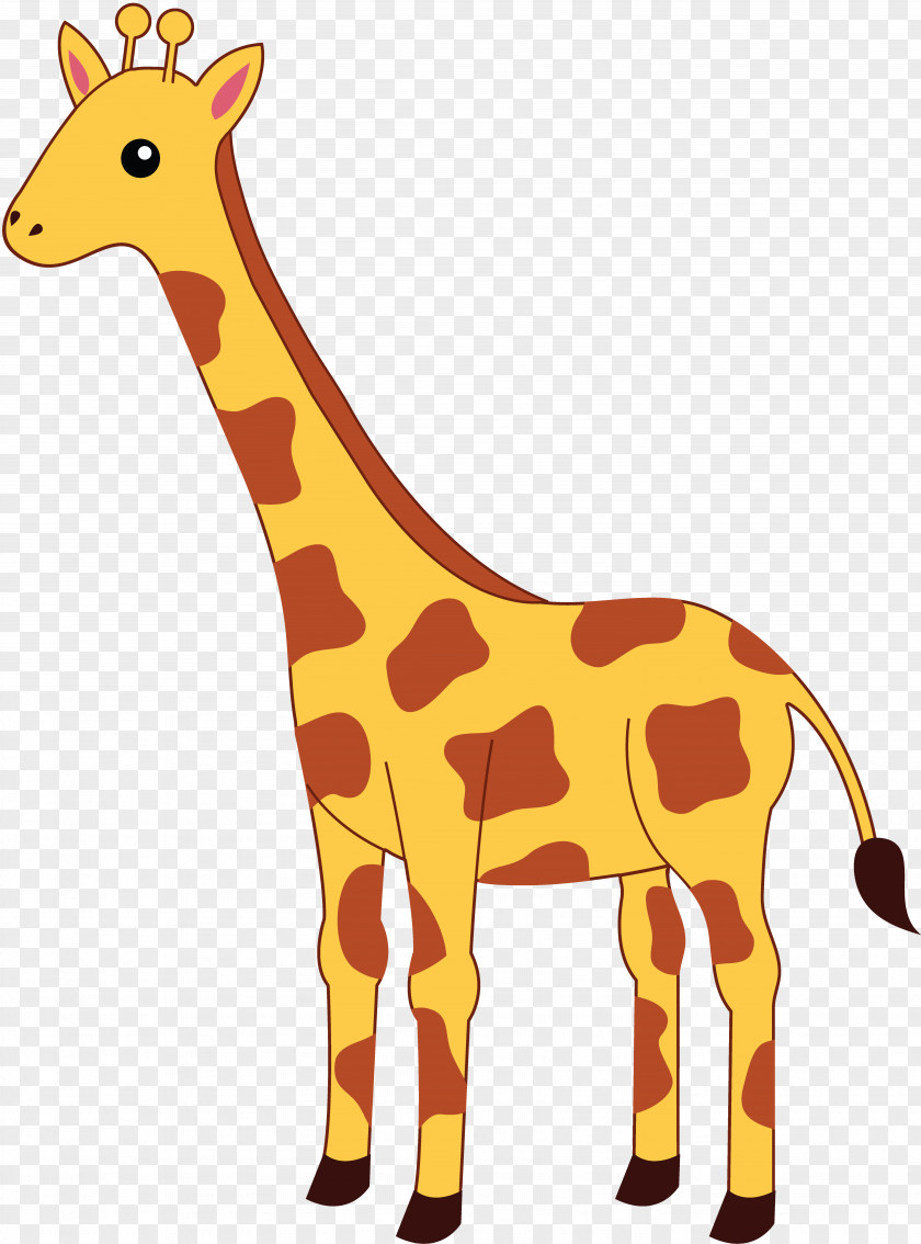 Elefante Baby Giraffes Clip Art PNG