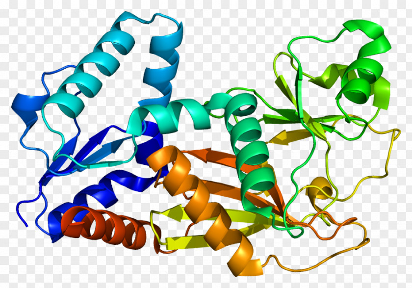 ITPK1 Inositol Phosphate Inositol-trisphosphate 3-kinase PNG