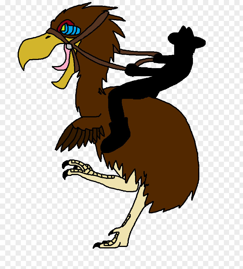 Mustang Terror Birds Chicken Flightless Bird PNG