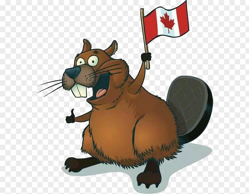 Beer Beaver Clip Art PNG