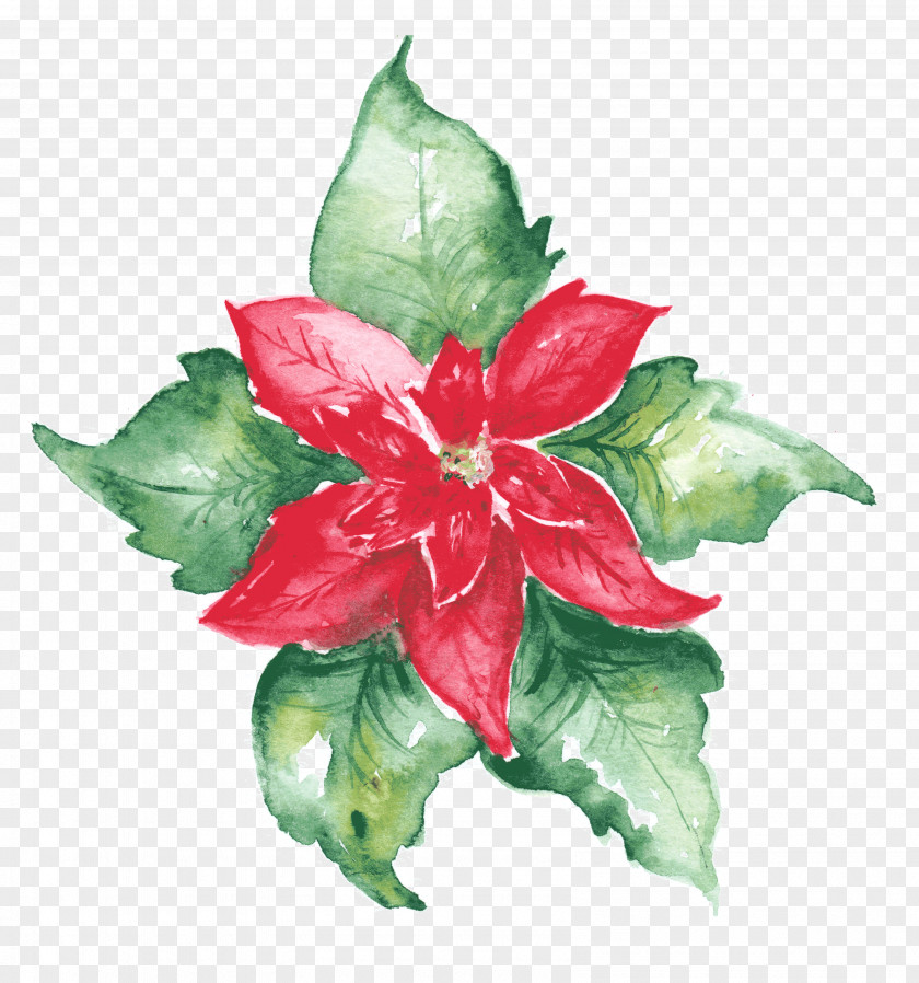 Floral Design Cut Flowers Leaf PNG