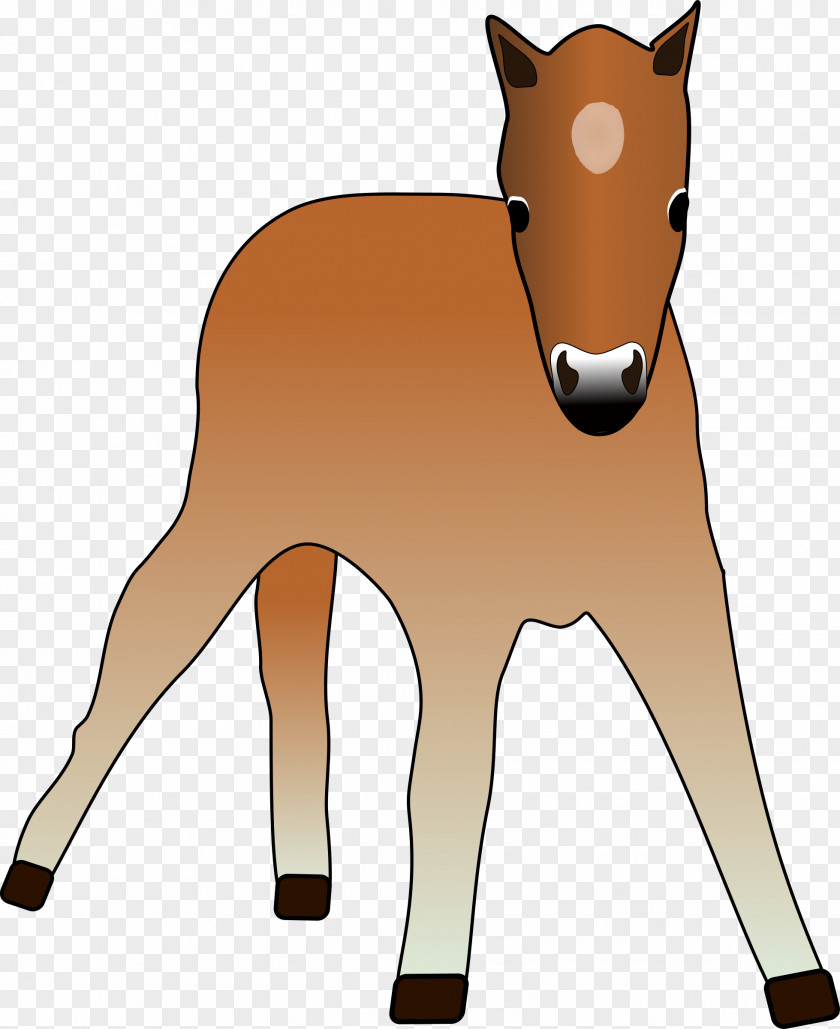 Horse Foal Colt Mare Pony PNG