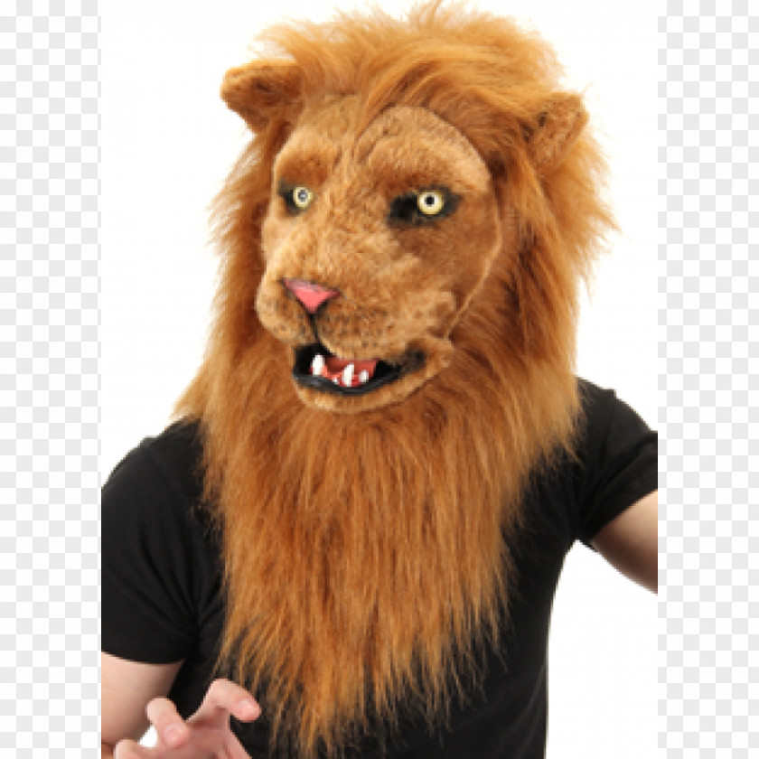 Lion Mask Cat Costume PNG