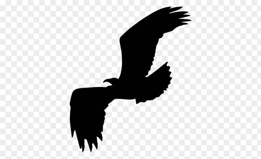 Silhouette Bald Eagle Bird Clip Art PNG