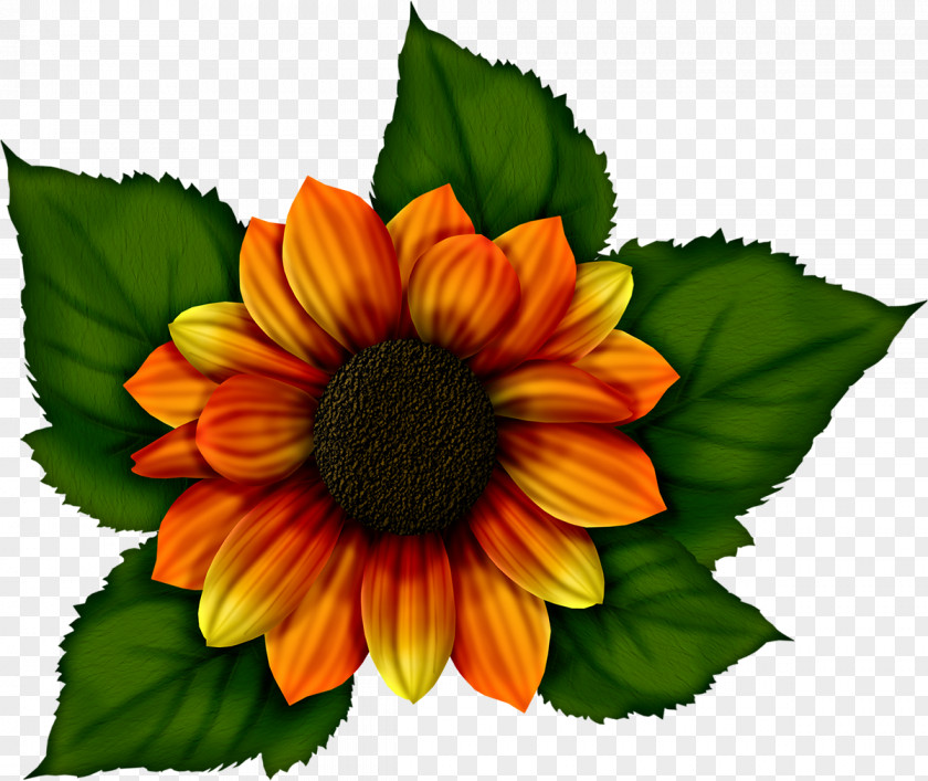 Sunflower Microsoft Paint Painting PNG