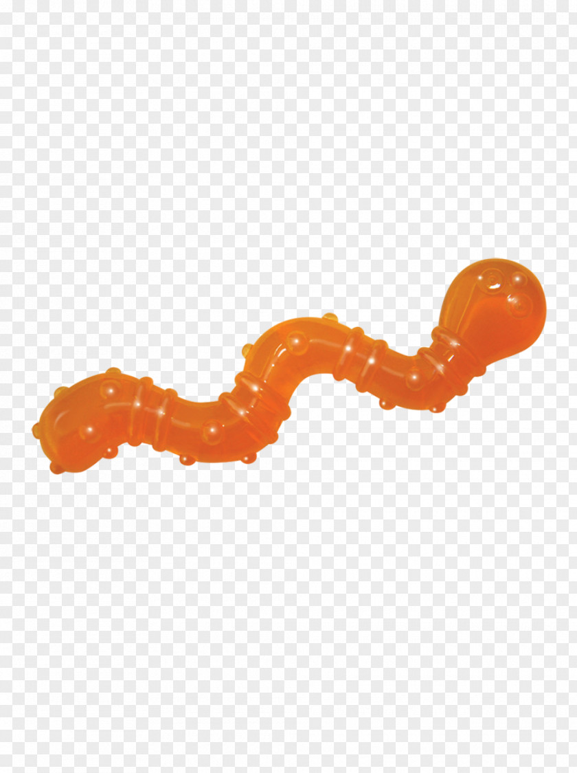 Worm Cat Dog Chew Toy Kitten Pet PNG