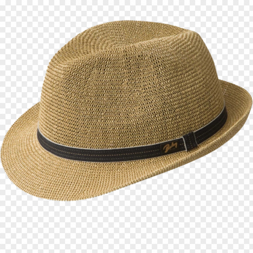 Closeout Fedora Hoodie Panama Hat Stetson PNG