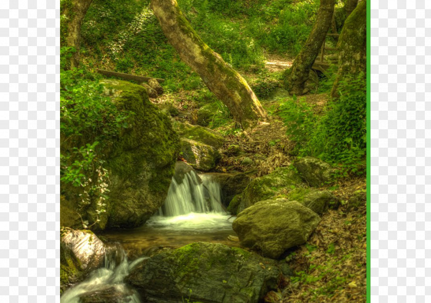 Forest Path Pelion Volos Pagasetic Gulf Waterfall Karavos Hotel PNG