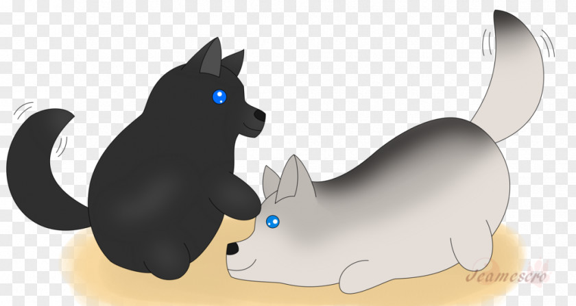 Kitten Whiskers Cat Dog PNG