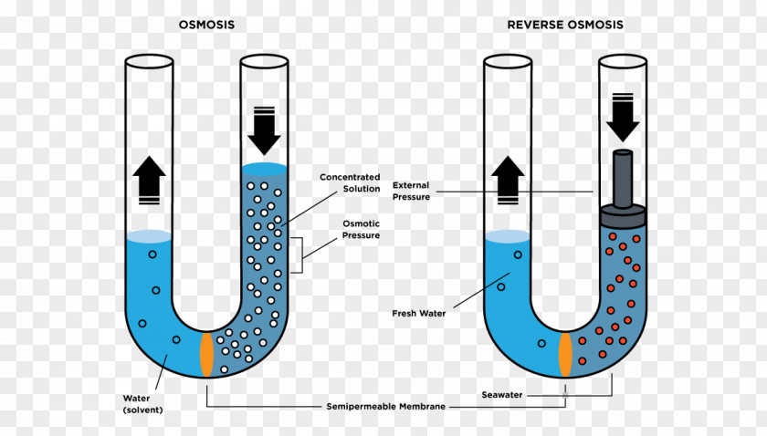Korean Food Reverse Osmosis Semipermeable Membrane Osmotic Pressure PNG