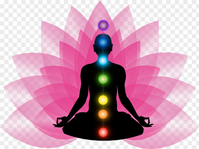 Meditation The Seven Spiritual Laws Of Success 48 Power Book Homo Sapiens PNG