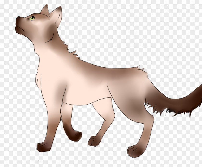 Cat Whiskers Dog Breed Snout PNG