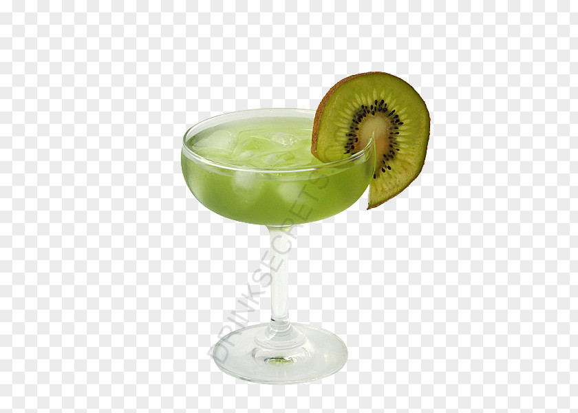Kiwi Slice Cocktail Garnish Daiquiri Martini Appletini Gimlet PNG