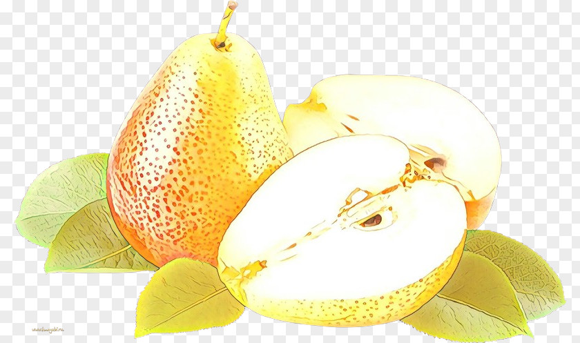 Pomelo Citrus Cartoon Lemon PNG