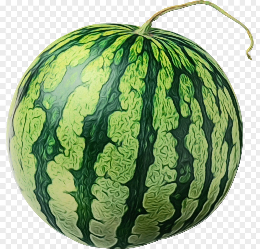 Squash Vegetable Family New Year PNG