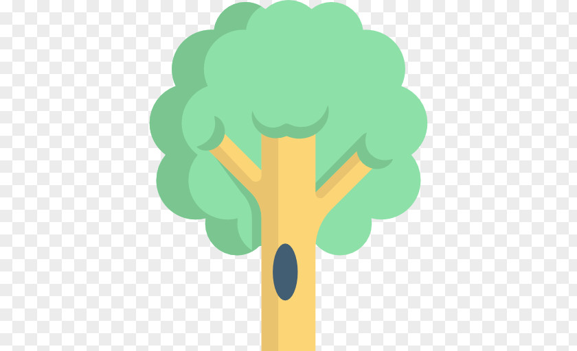 Tree Branch Coloring Page Clip Art Data PNG