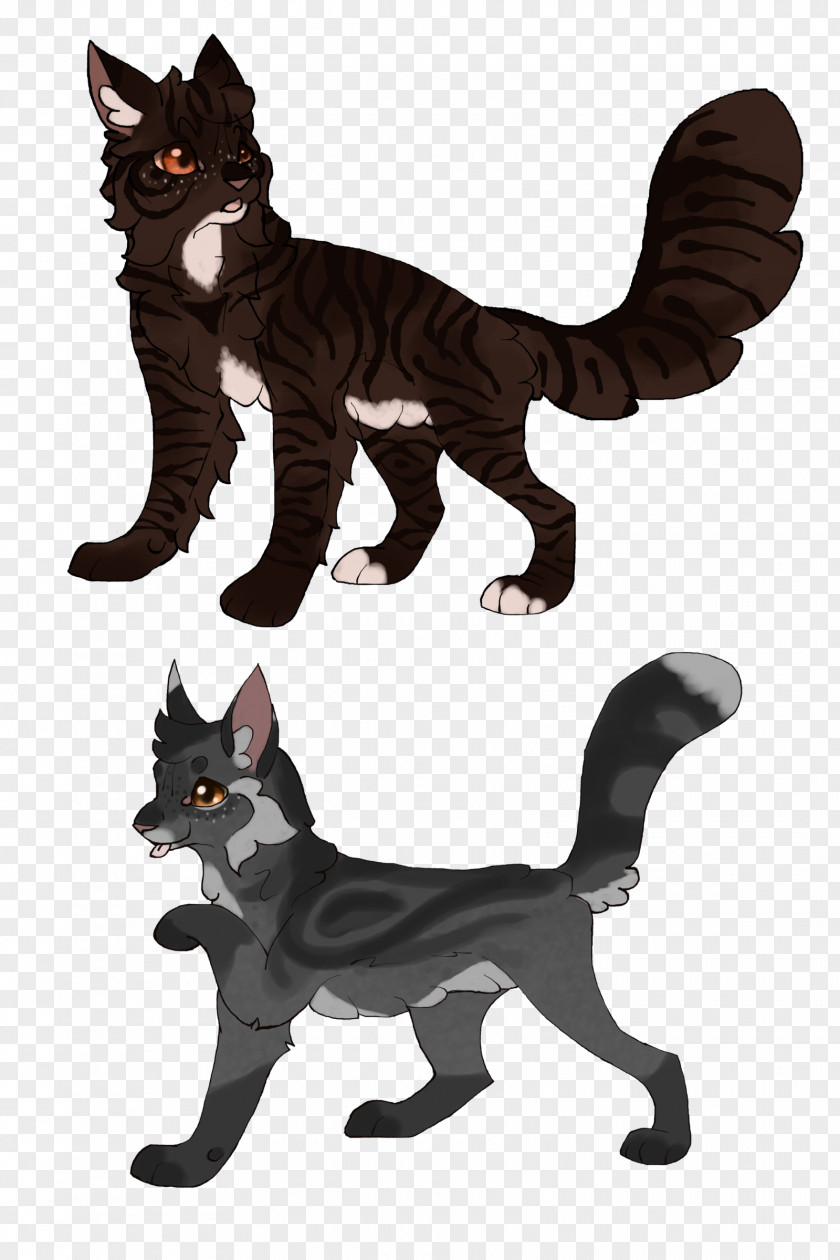 Wind Storm Whiskers Kitten Black Cat Werewolf PNG