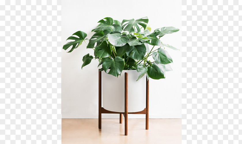 Wood Stand Flowerpot Houseplant Succulent Plant PNG