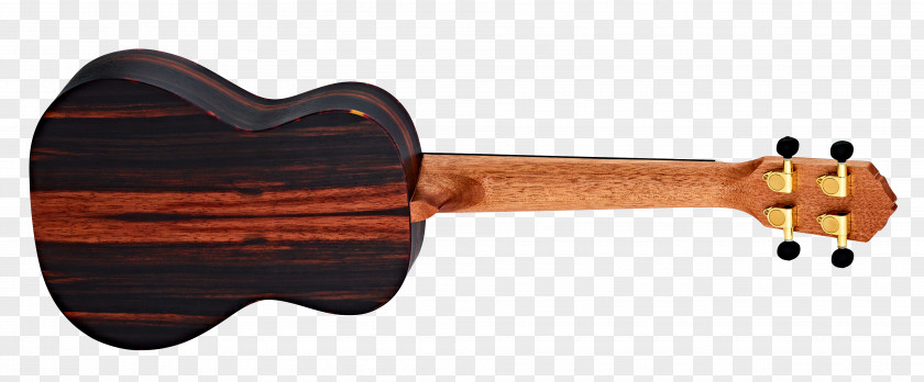 Acoustic Guitar Ukulele Musical Instruments Bass PNG