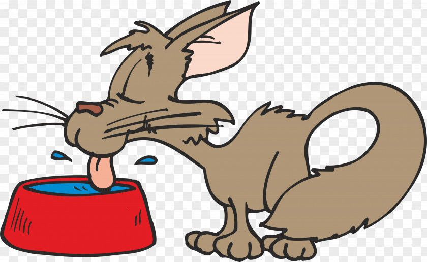 Bowling Cat Drinking Clip Art PNG