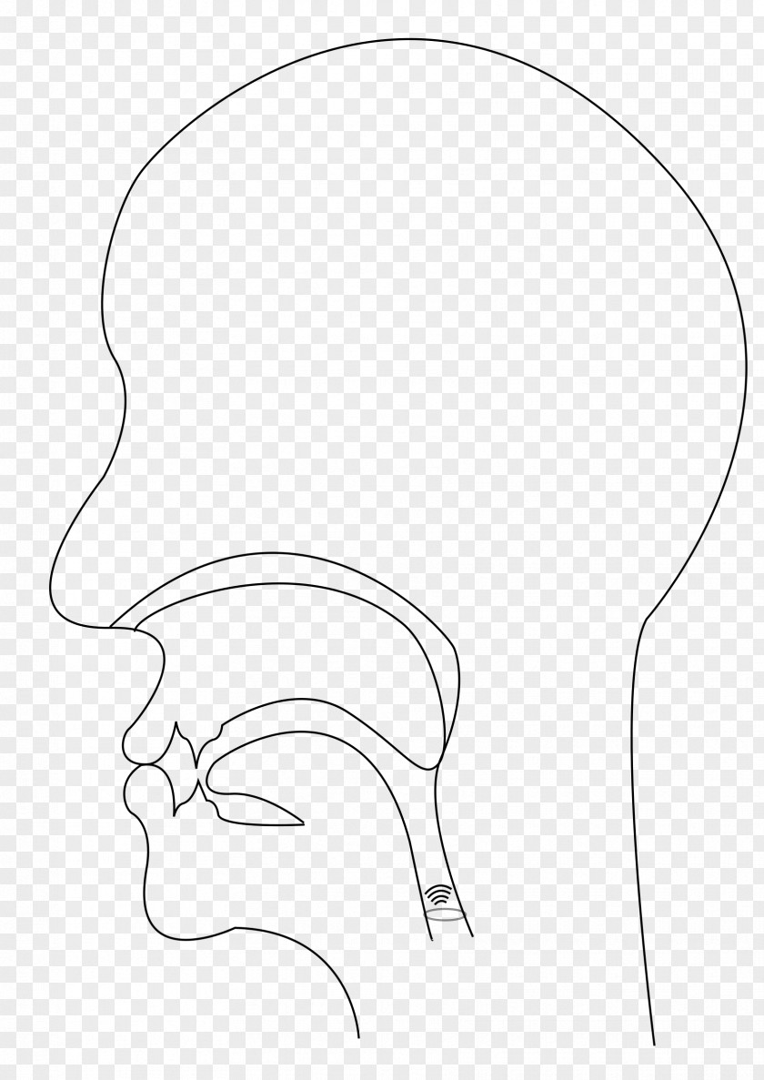 Ear Line Art Drawing /m/02csf Clip PNG