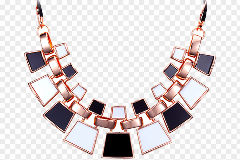 Noble Jewelry Necklace Ring Gemstone Fashion Accessory PNG