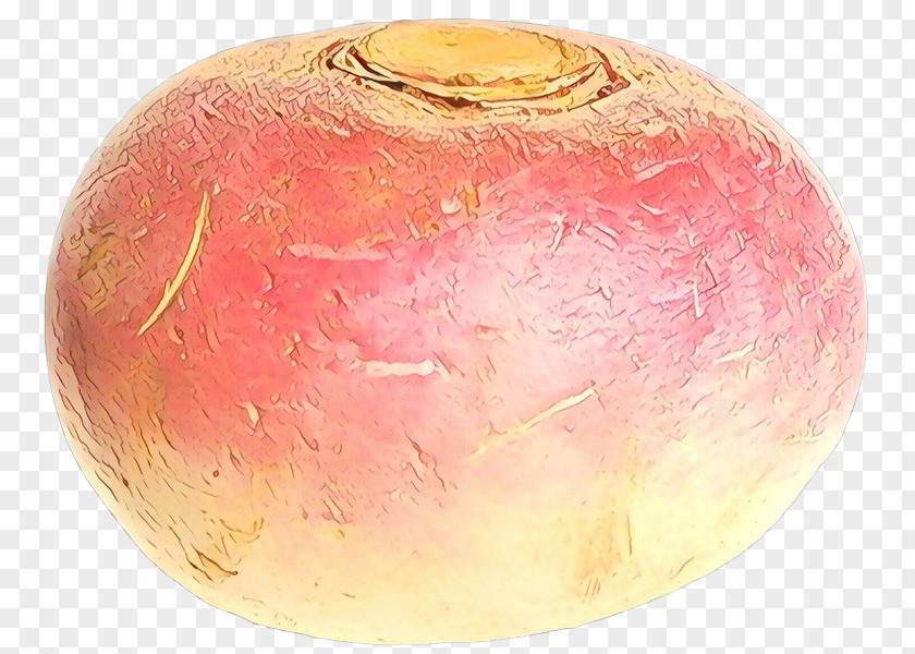 Sphere Rutabaga Pink Turnip PNG