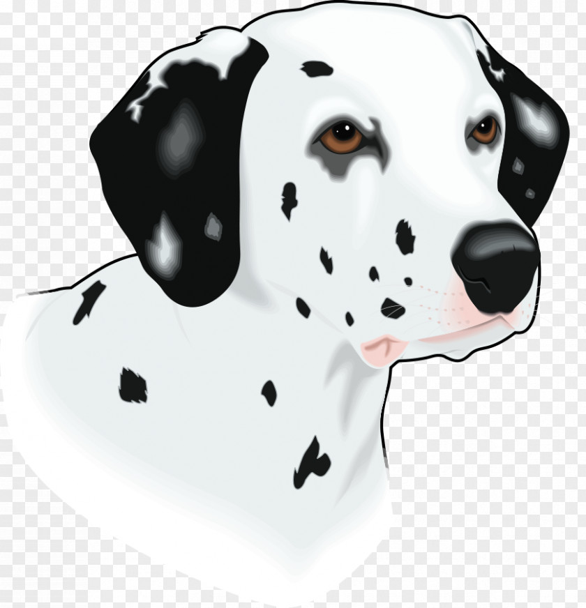 Cat Head Outline Dalmatian Dog Pongo Perdita Puppy The PNG
