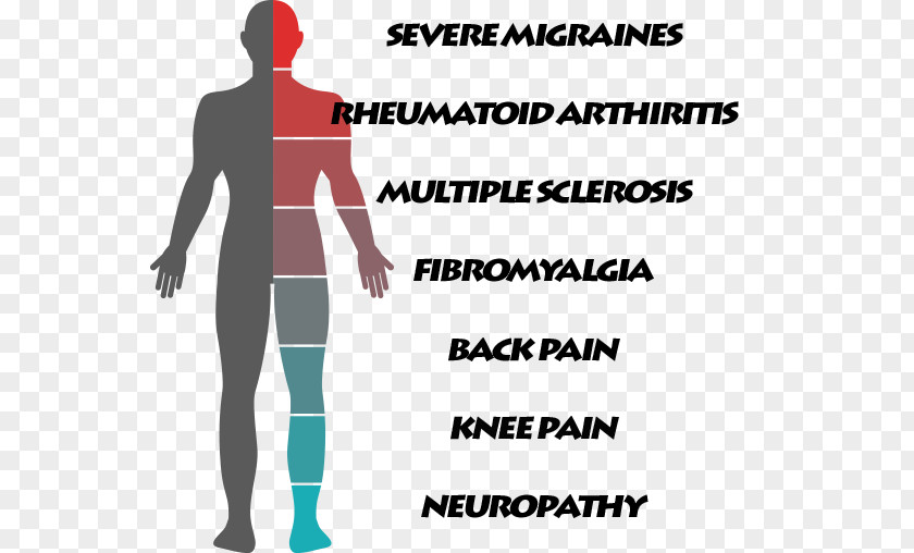 Cerebral Palsy Muscle Therapy Medicine Human Body PNG