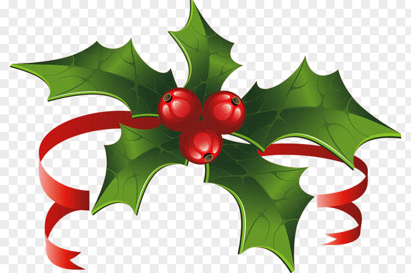 Christmas Day Vector Graphics Decoration Stock Photography Design PNG