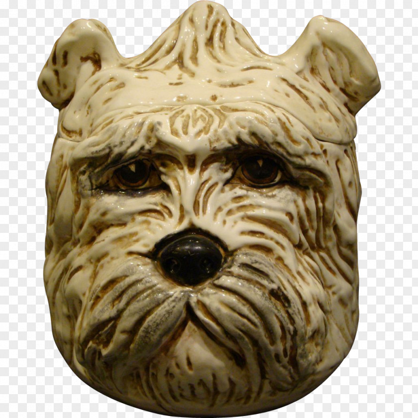 Dog Breed Terrier Snout PNG