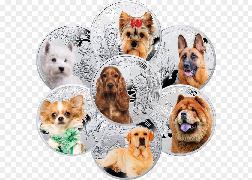 Dog Man Yorkshire Terrier Breed Man's Best Friend Companion Proof Coinage PNG