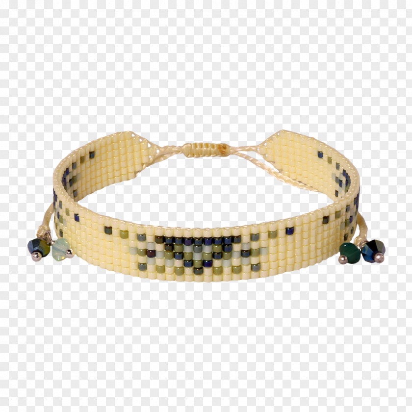 Milk Pail Jewellery Dog Collar PNG